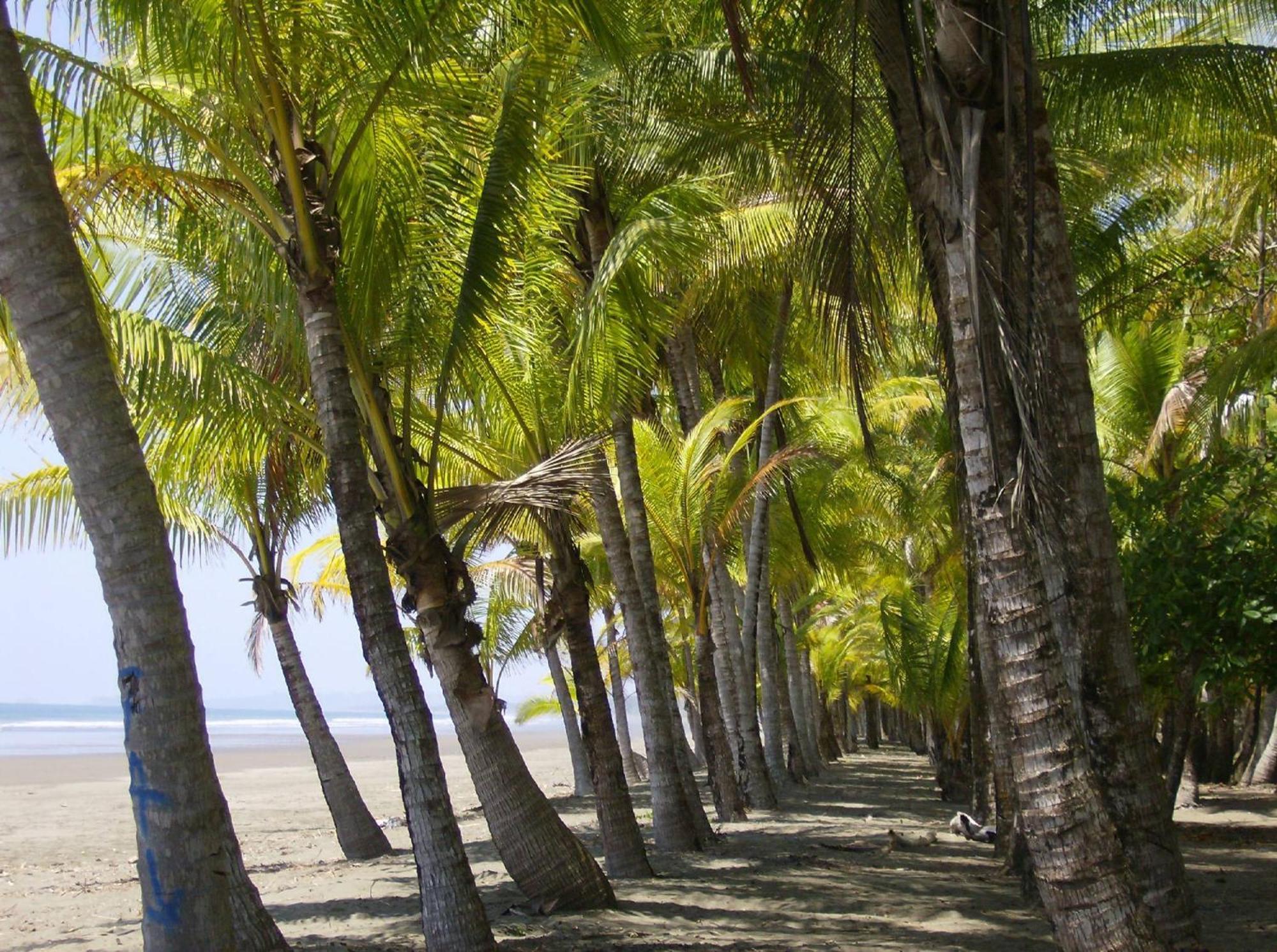 La Palapa Ecolodge Portalón Eksteriør bilde