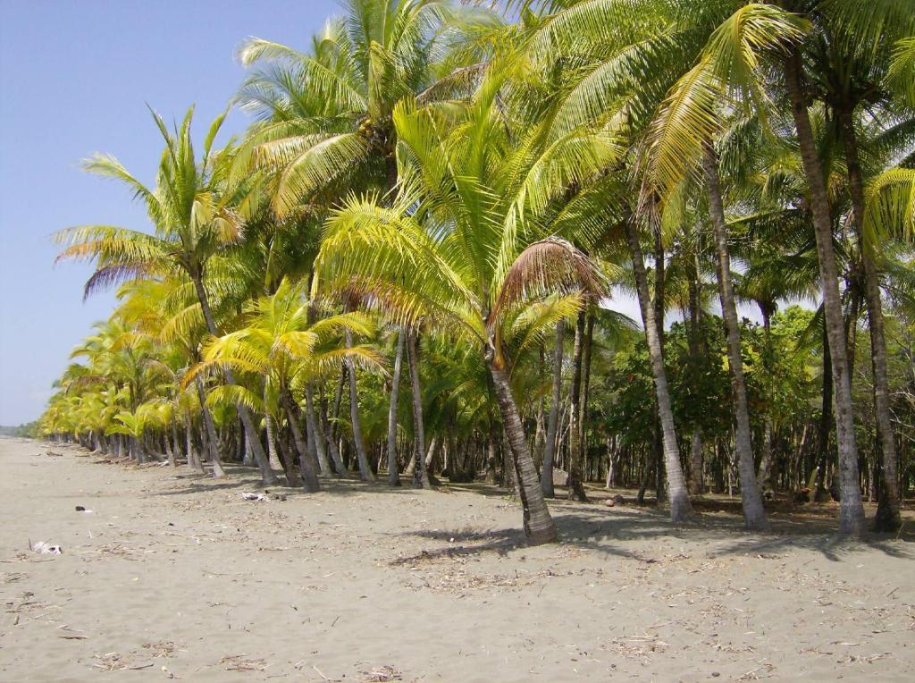 La Palapa Ecolodge Portalón Eksteriør bilde