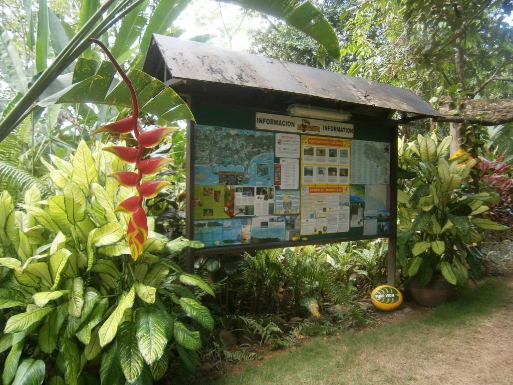 La Palapa Ecolodge Portalón Eksteriør bilde