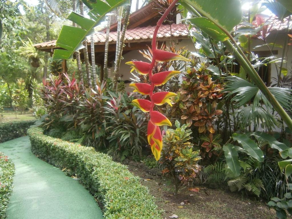 La Palapa Ecolodge Portalón Eksteriør bilde