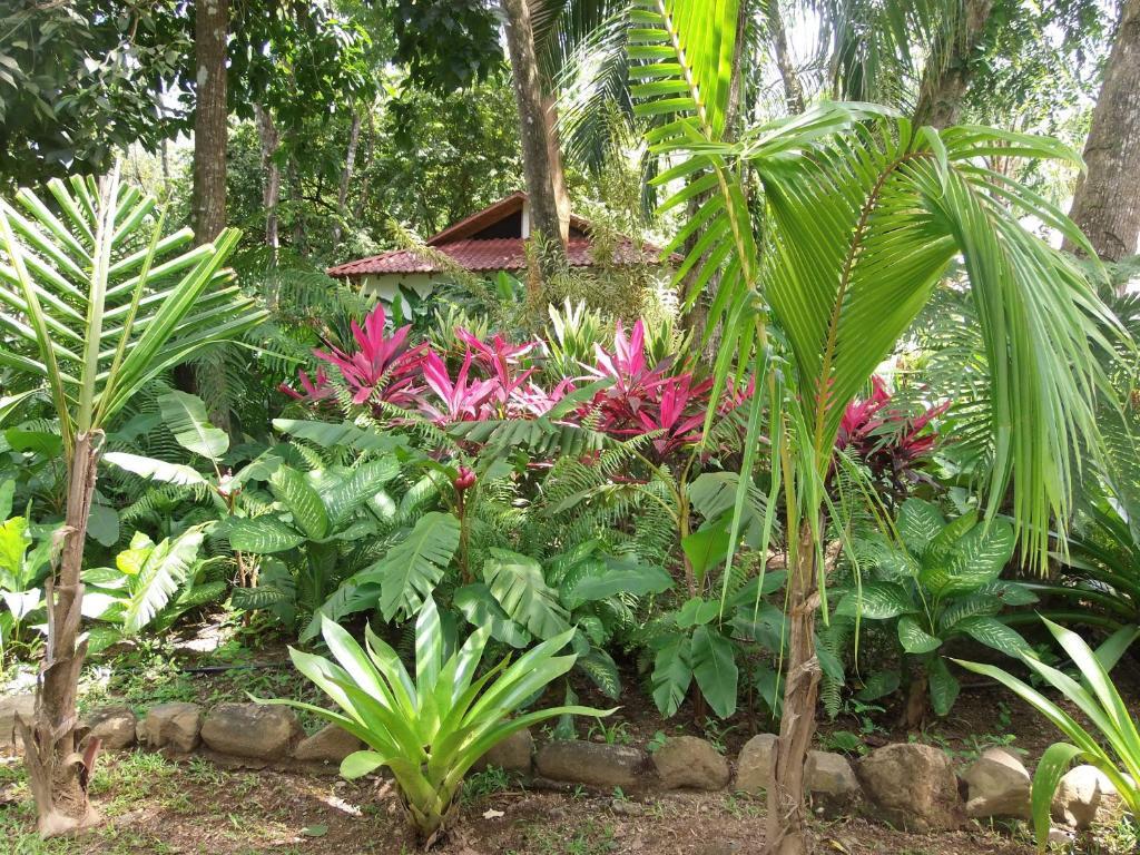 La Palapa Ecolodge Portalón Eksteriør bilde
