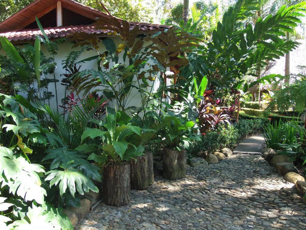 La Palapa Ecolodge Portalón Eksteriør bilde